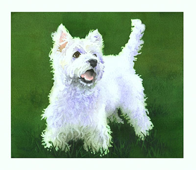 Let's Go watercolor note cards